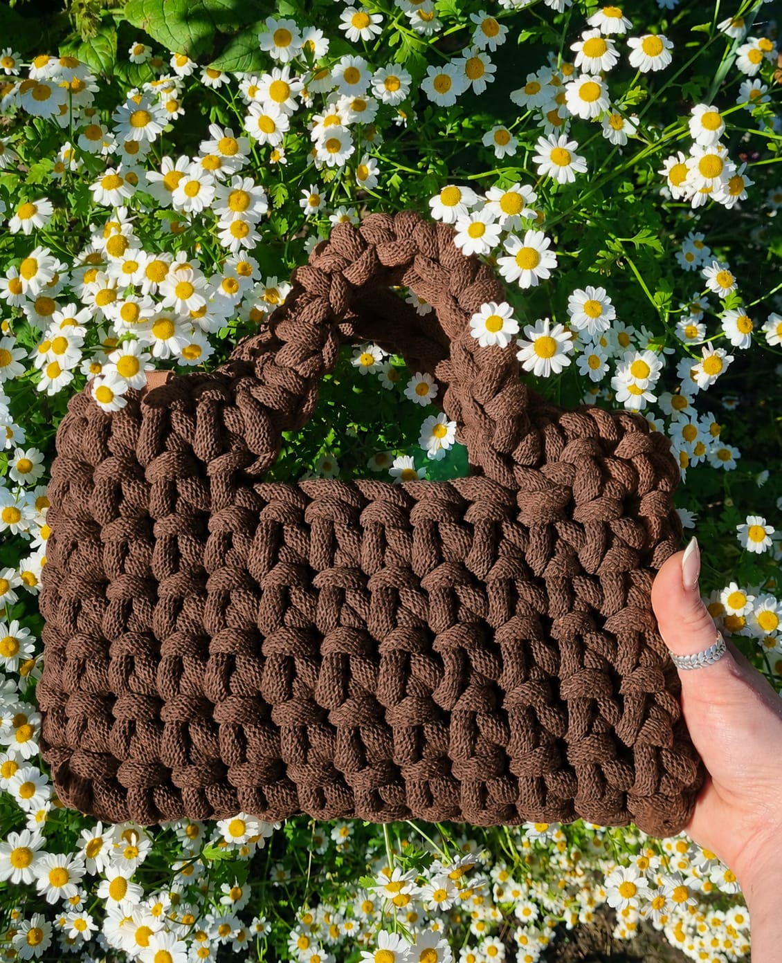 The Bloom