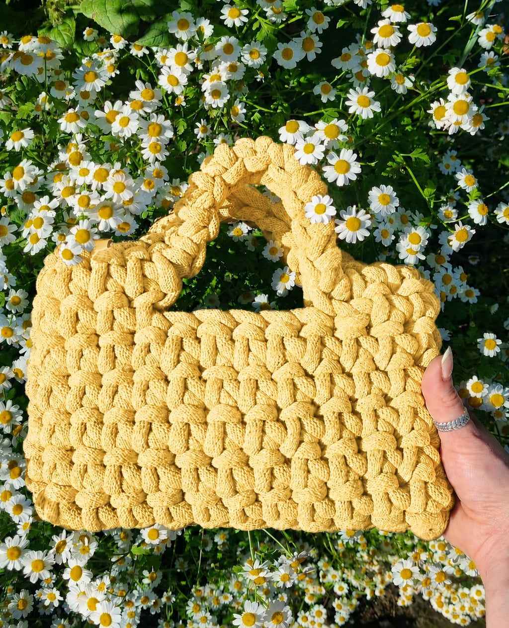 The Bloom